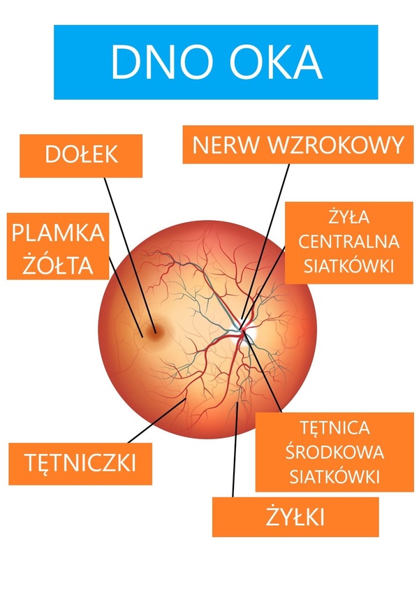 Badanie dna oka w Sosnowcu